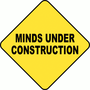 minds-under-construction