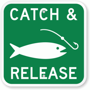 catch-and-release