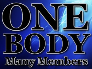 one-body-many-members